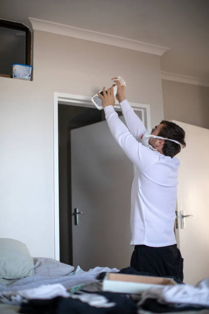 Best Basement Mold Removal  in Rayne, LA