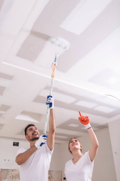 Best Biohazard Mold Removal  in Rayne, LA