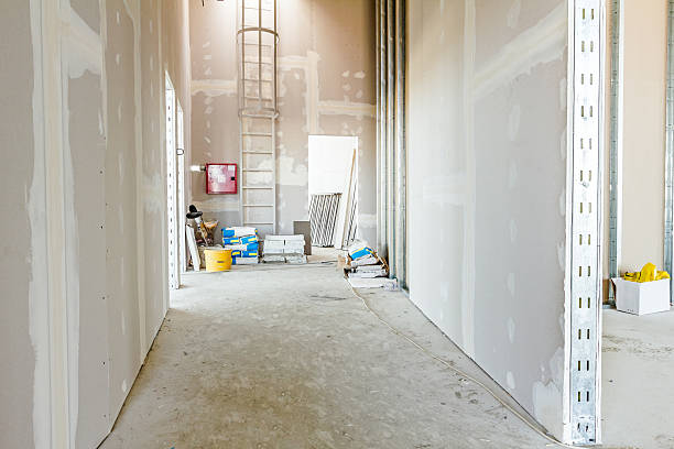 Best Comprehensive Air Testing for Mold Contaminants  in Rayne, LA